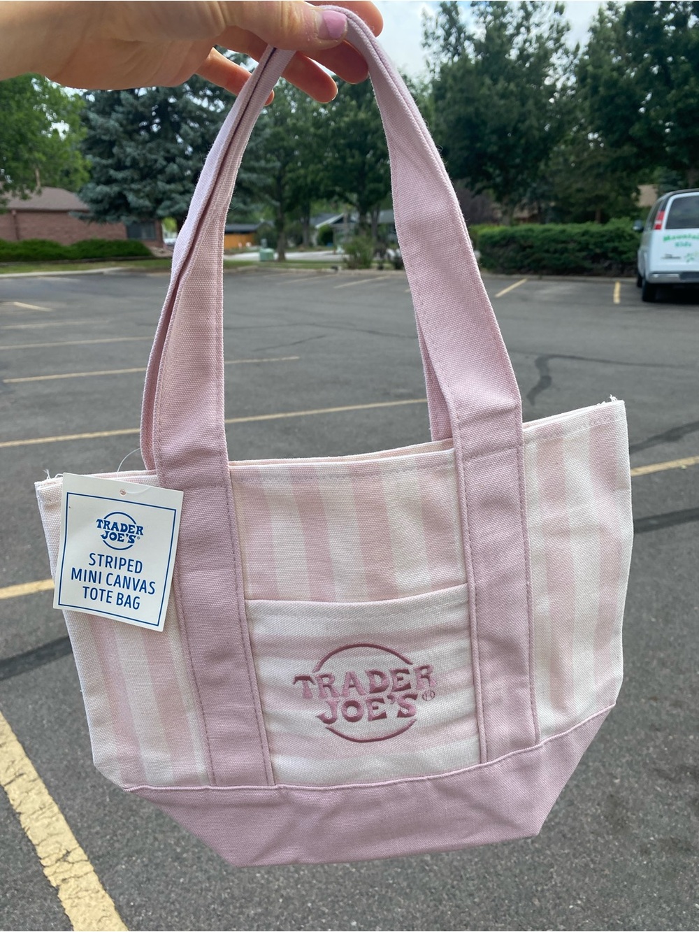 Striped Mini Tote